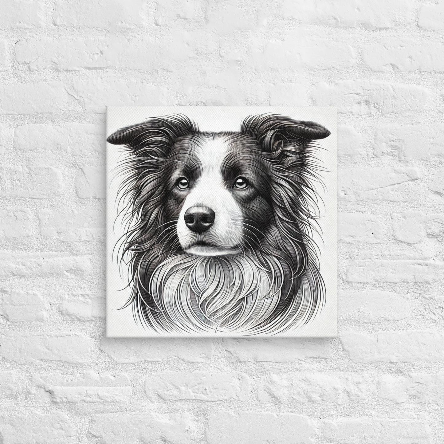 Masseys Watch 18x18 inch Border Collie Canvas from the Fauna Collection at Absolute Legend
